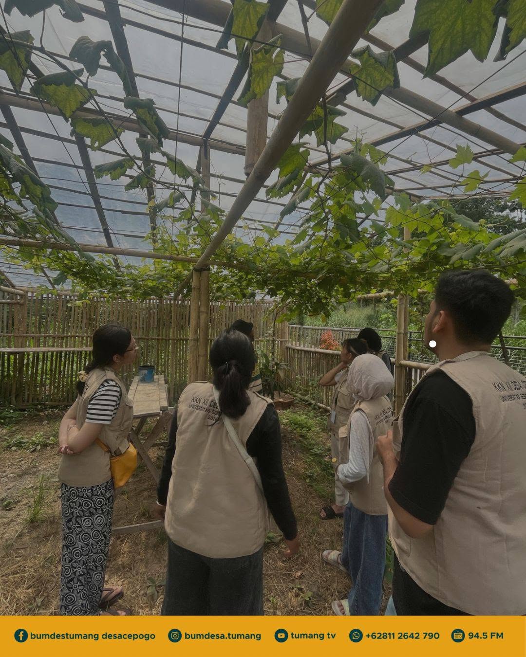 Mahasiswa KKN UNS Kunjungi Tampah (Taman Sampah) BUMDes Tumang, Desa Cepogo
